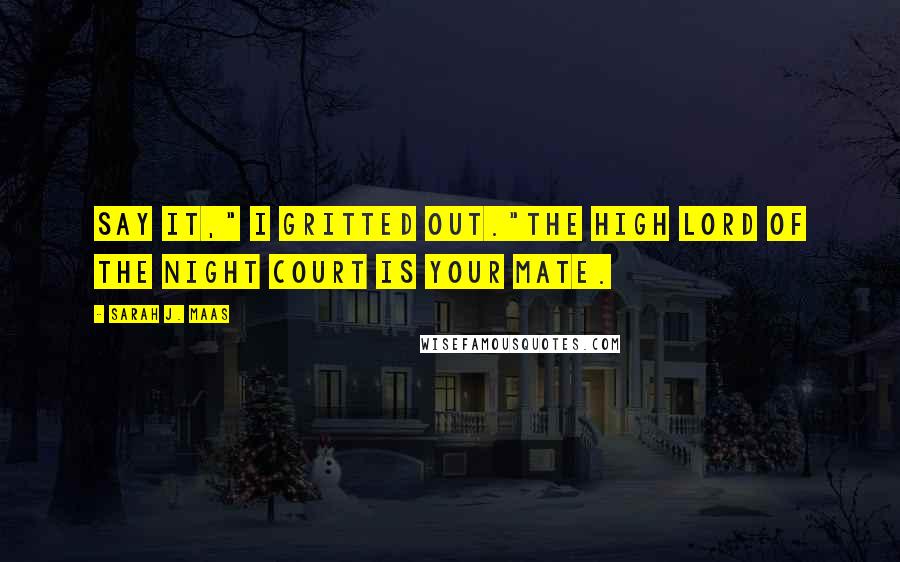 Sarah J. Maas Quotes: Say it," I gritted out."The High Lord of the Night Court is your mate.