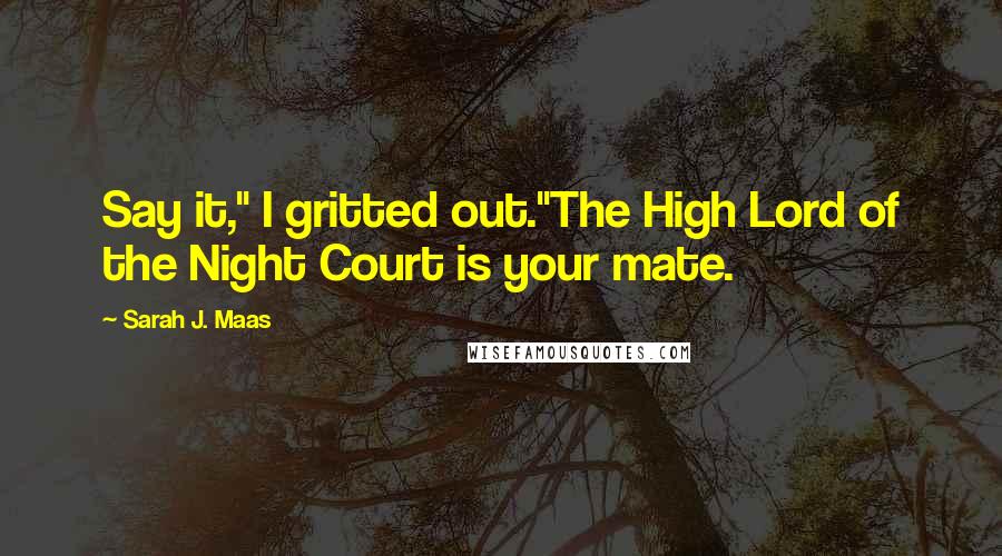 Sarah J. Maas Quotes: Say it," I gritted out."The High Lord of the Night Court is your mate.