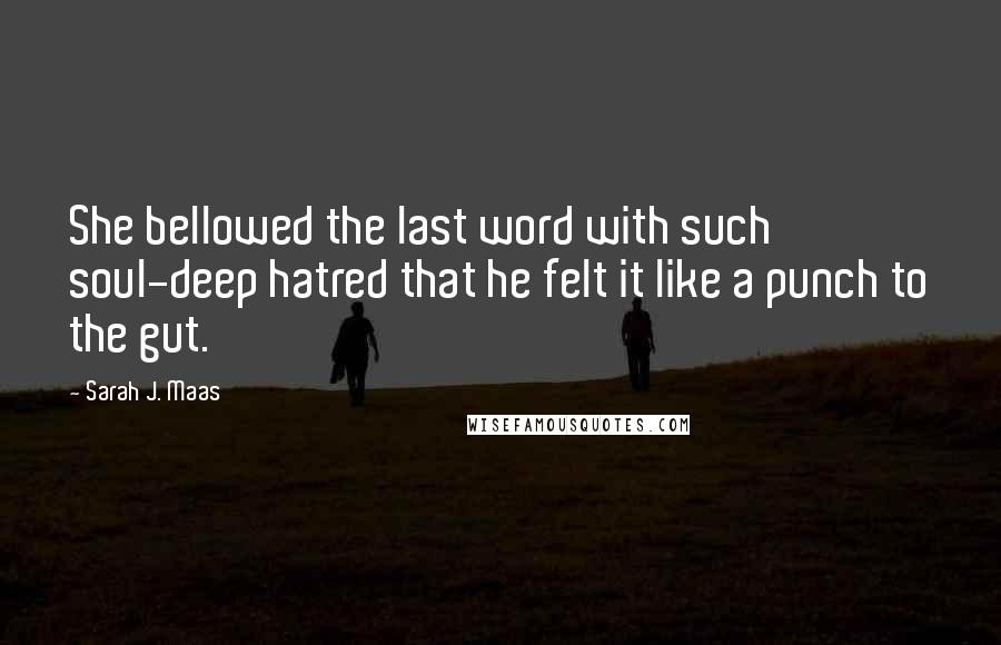 Sarah J. Maas Quotes: She bellowed the last word with such soul-deep hatred that he felt it like a punch to the gut.