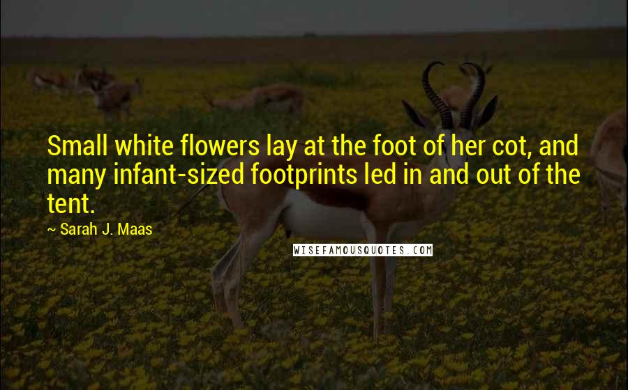 Sarah J. Maas Quotes: Small white flowers lay at the foot of her cot, and many infant-sized footprints led in and out of the tent.