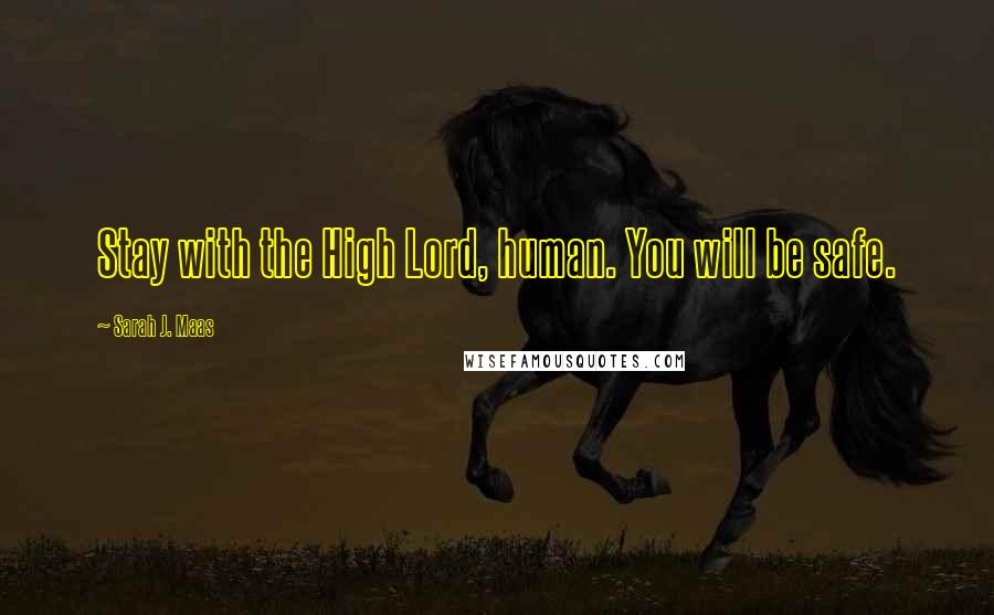 Sarah J. Maas Quotes: Stay with the High Lord, human. You will be safe.