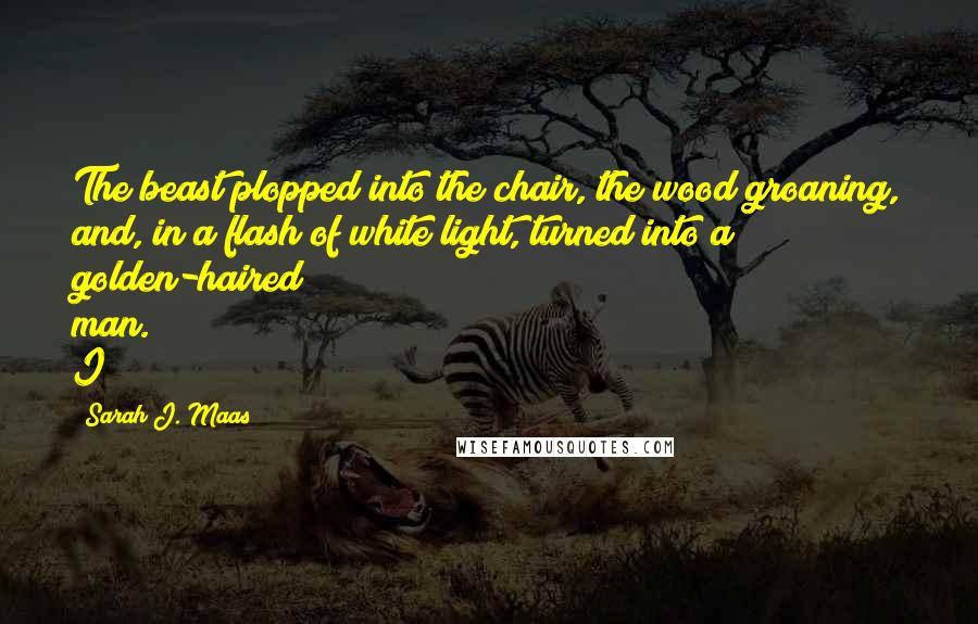 Sarah J. Maas Quotes: The beast plopped into the chair, the wood groaning, and, in a flash of white light, turned into a golden-haired man. I