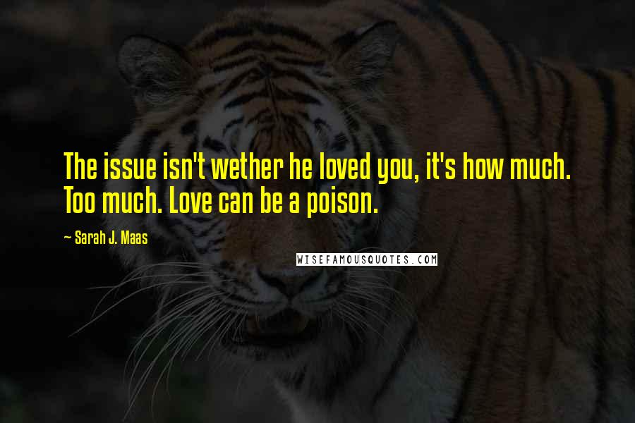 Sarah J. Maas Quotes: The issue isn't wether he loved you, it's how much. Too much. Love can be a poison.