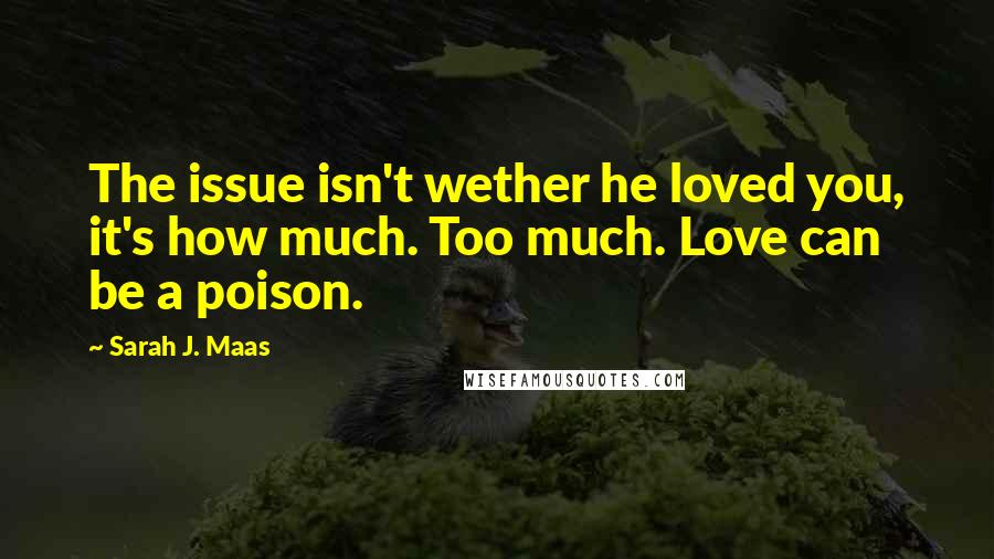 Sarah J. Maas Quotes: The issue isn't wether he loved you, it's how much. Too much. Love can be a poison.