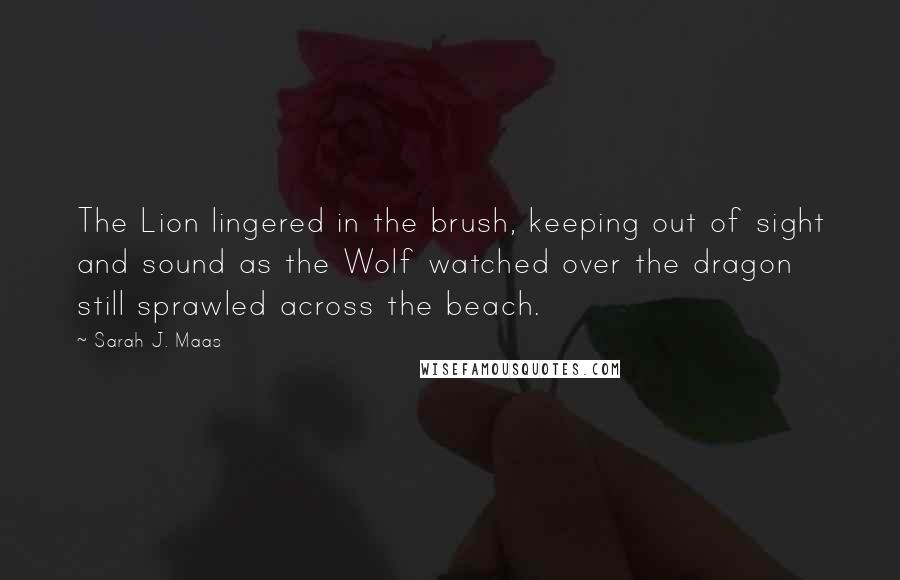 Sarah J. Maas Quotes: The Lion lingered in the brush, keeping out of sight and sound as the Wolf watched over the dragon still sprawled across the beach.