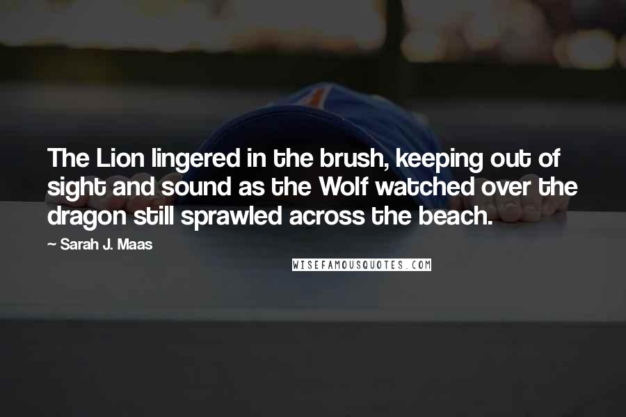 Sarah J. Maas Quotes: The Lion lingered in the brush, keeping out of sight and sound as the Wolf watched over the dragon still sprawled across the beach.