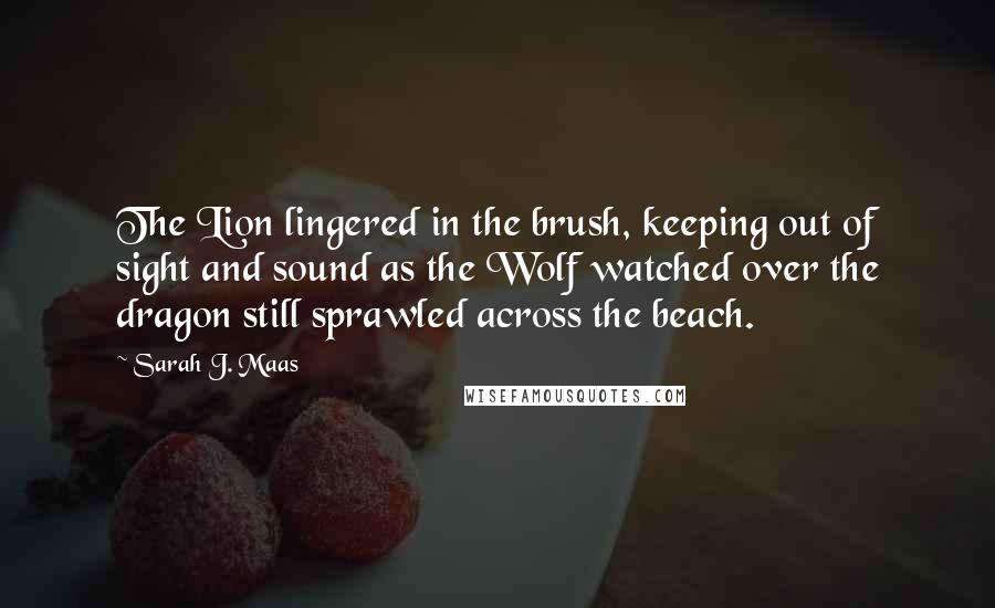 Sarah J. Maas Quotes: The Lion lingered in the brush, keeping out of sight and sound as the Wolf watched over the dragon still sprawled across the beach.