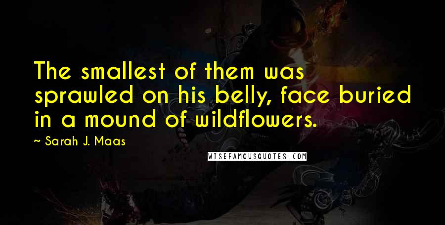 Sarah J. Maas Quotes: The smallest of them was sprawled on his belly, face buried in a mound of wildflowers.