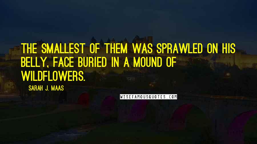 Sarah J. Maas Quotes: The smallest of them was sprawled on his belly, face buried in a mound of wildflowers.