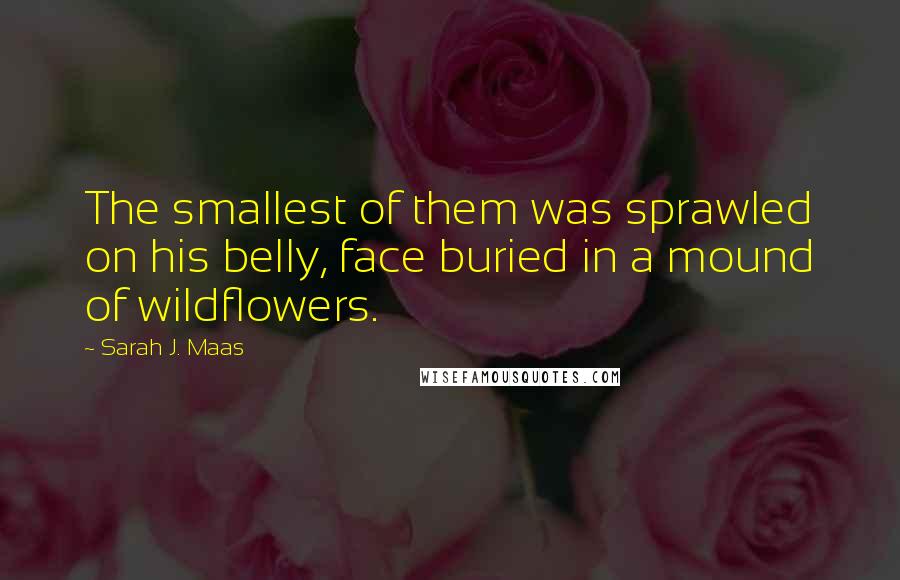 Sarah J. Maas Quotes: The smallest of them was sprawled on his belly, face buried in a mound of wildflowers.