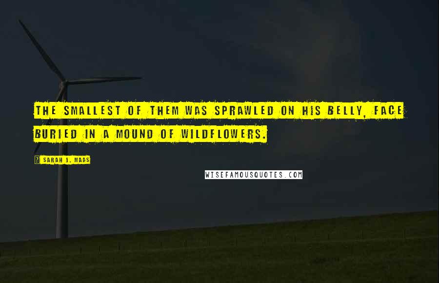 Sarah J. Maas Quotes: The smallest of them was sprawled on his belly, face buried in a mound of wildflowers.