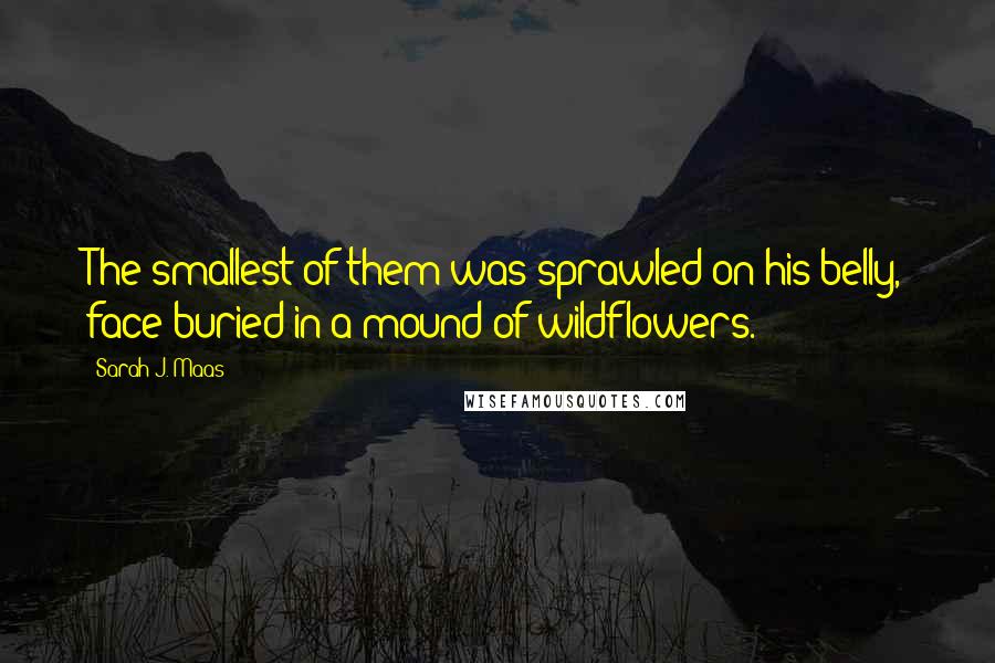 Sarah J. Maas Quotes: The smallest of them was sprawled on his belly, face buried in a mound of wildflowers.