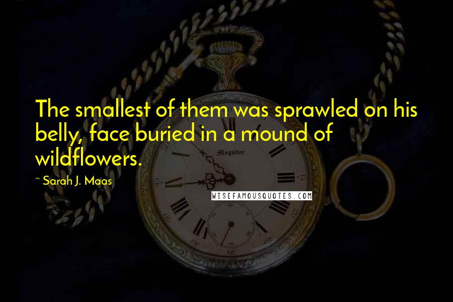 Sarah J. Maas Quotes: The smallest of them was sprawled on his belly, face buried in a mound of wildflowers.