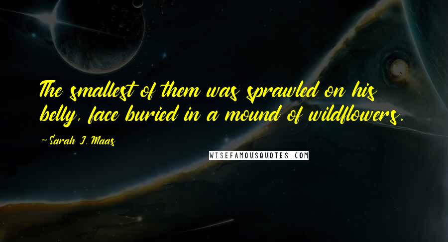 Sarah J. Maas Quotes: The smallest of them was sprawled on his belly, face buried in a mound of wildflowers.