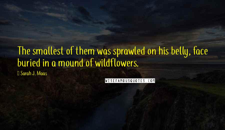 Sarah J. Maas Quotes: The smallest of them was sprawled on his belly, face buried in a mound of wildflowers.