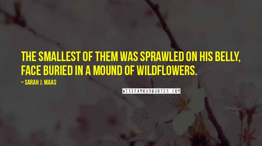 Sarah J. Maas Quotes: The smallest of them was sprawled on his belly, face buried in a mound of wildflowers.