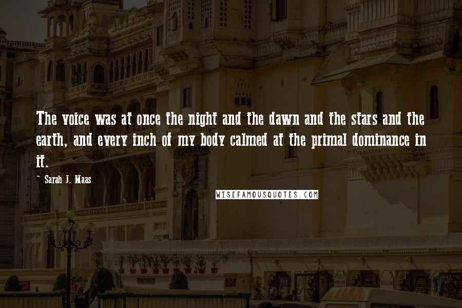 Sarah J. Maas Quotes: The voice was at once the night and the dawn and the stars and the earth, and every inch of my body calmed at the primal dominance in it.