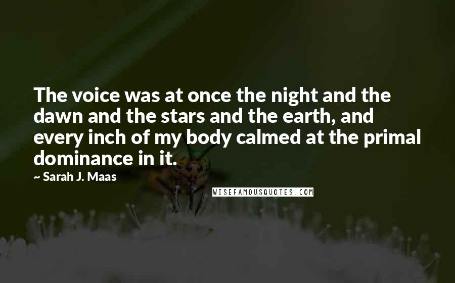 Sarah J. Maas Quotes: The voice was at once the night and the dawn and the stars and the earth, and every inch of my body calmed at the primal dominance in it.