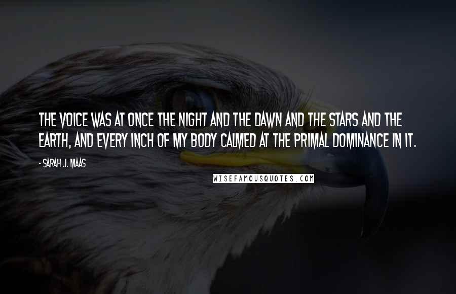 Sarah J. Maas Quotes: The voice was at once the night and the dawn and the stars and the earth, and every inch of my body calmed at the primal dominance in it.