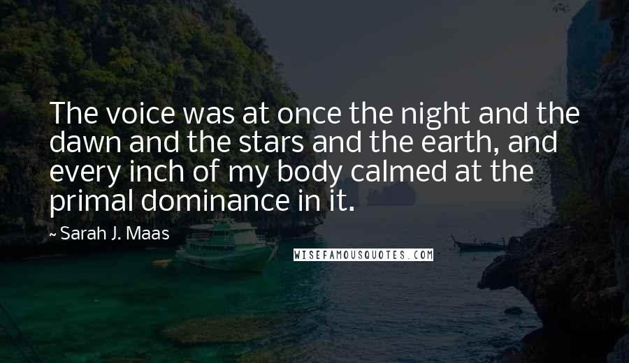 Sarah J. Maas Quotes: The voice was at once the night and the dawn and the stars and the earth, and every inch of my body calmed at the primal dominance in it.