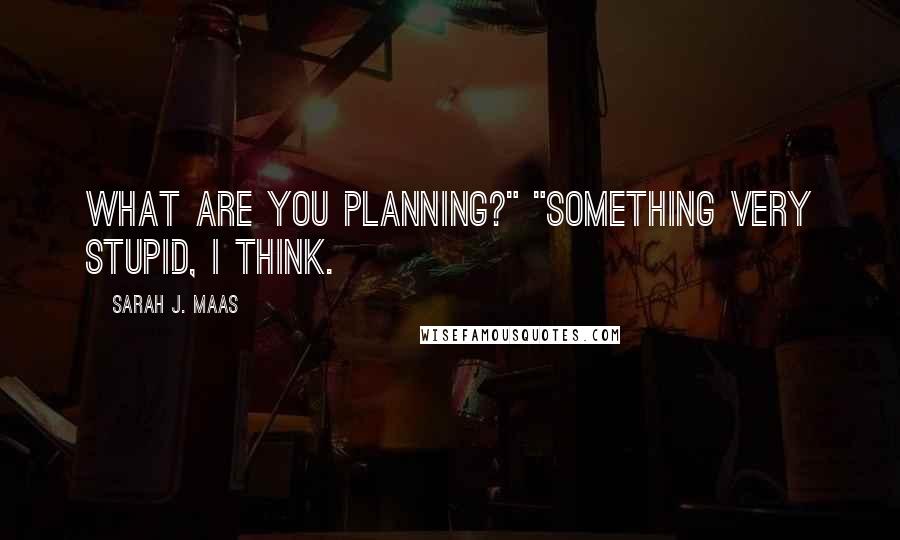 Sarah J. Maas Quotes: What are you planning?" "Something very stupid, I think.