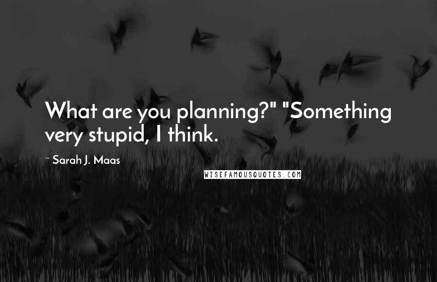 Sarah J. Maas Quotes: What are you planning?" "Something very stupid, I think.