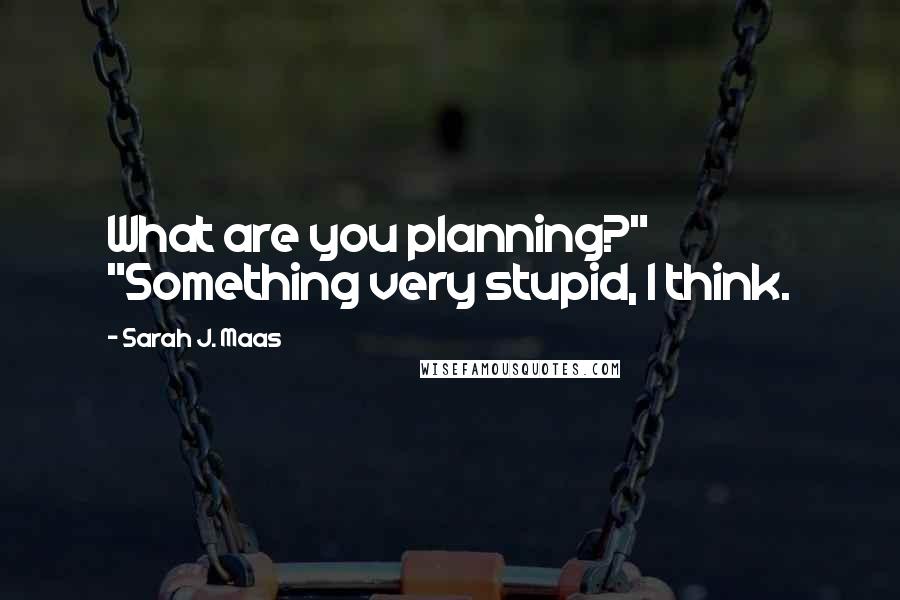 Sarah J. Maas Quotes: What are you planning?" "Something very stupid, I think.