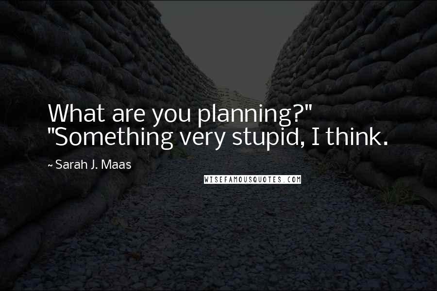 Sarah J. Maas Quotes: What are you planning?" "Something very stupid, I think.