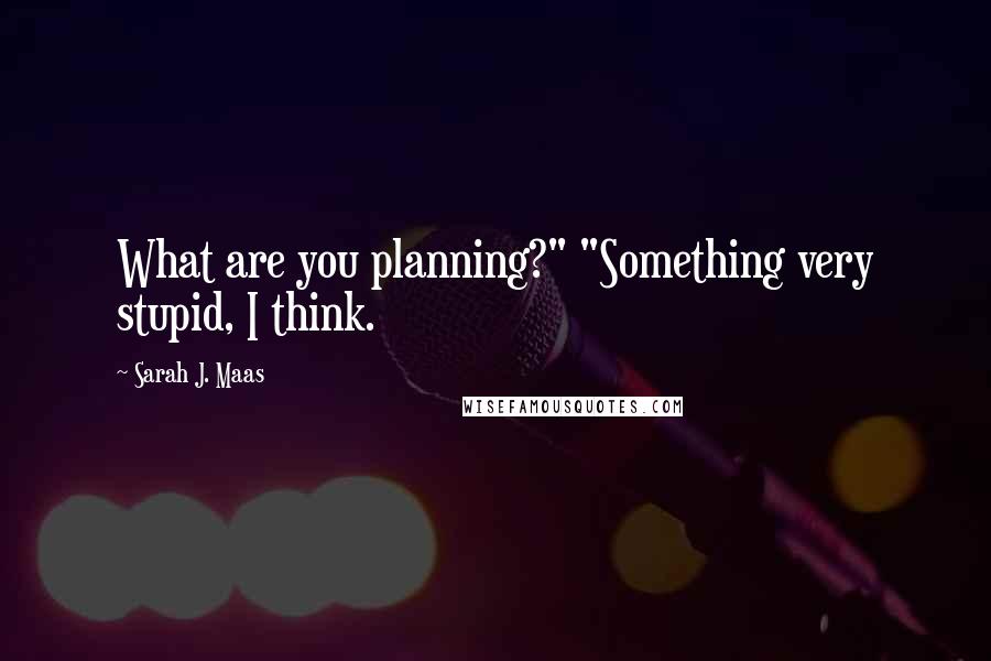 Sarah J. Maas Quotes: What are you planning?" "Something very stupid, I think.