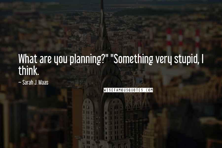 Sarah J. Maas Quotes: What are you planning?" "Something very stupid, I think.