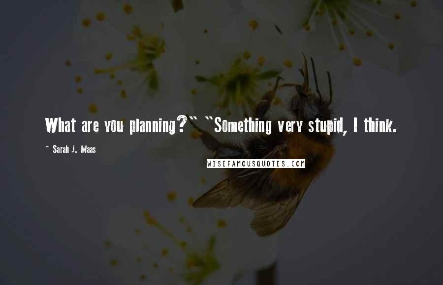 Sarah J. Maas Quotes: What are you planning?" "Something very stupid, I think.