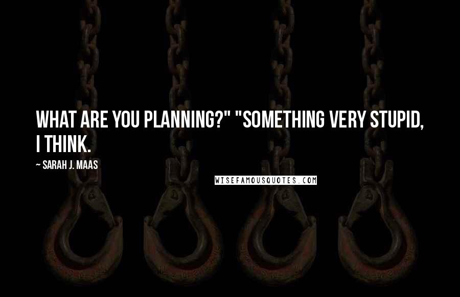 Sarah J. Maas Quotes: What are you planning?" "Something very stupid, I think.