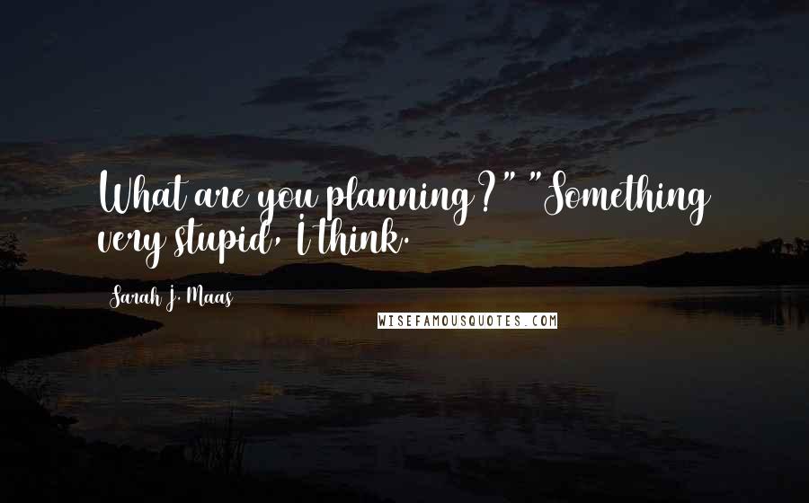 Sarah J. Maas Quotes: What are you planning?" "Something very stupid, I think.