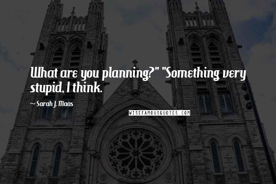 Sarah J. Maas Quotes: What are you planning?" "Something very stupid, I think.