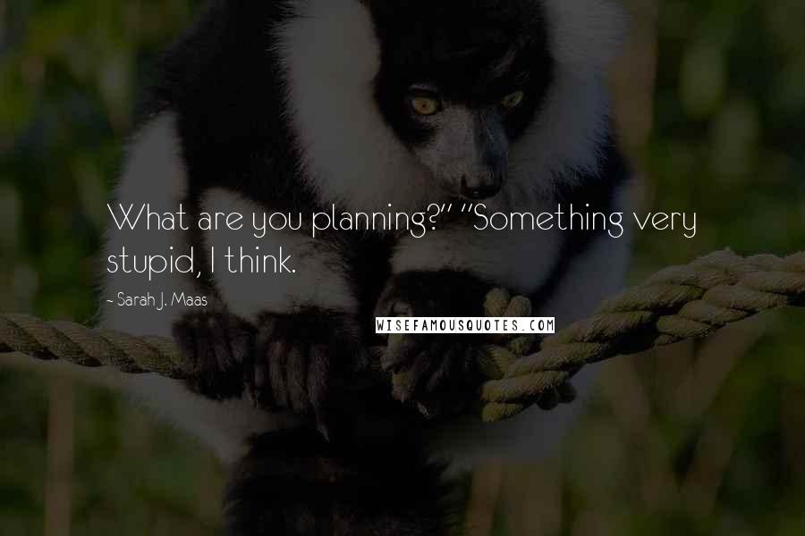 Sarah J. Maas Quotes: What are you planning?" "Something very stupid, I think.