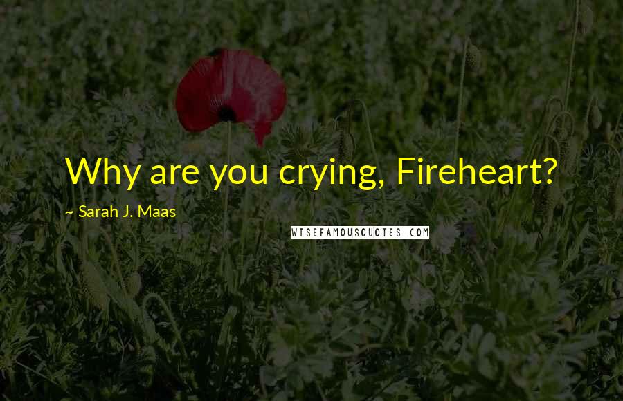 Sarah J. Maas Quotes: Why are you crying, Fireheart?