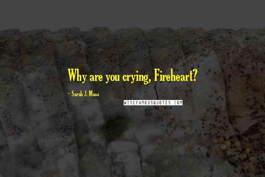 Sarah J. Maas Quotes: Why are you crying, Fireheart?