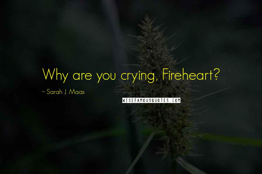 Sarah J. Maas Quotes: Why are you crying, Fireheart?