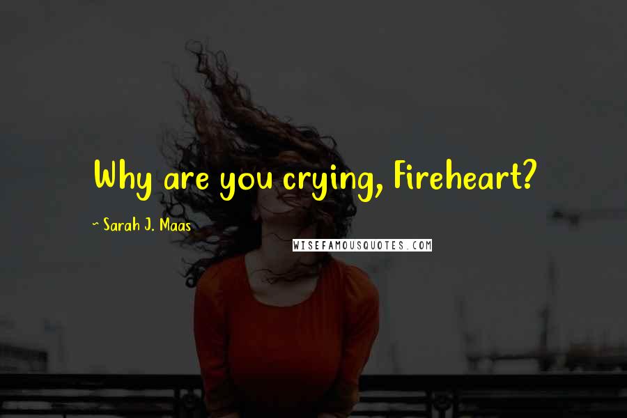 Sarah J. Maas Quotes: Why are you crying, Fireheart?