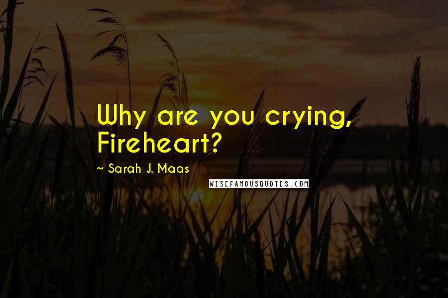 Sarah J. Maas Quotes: Why are you crying, Fireheart?