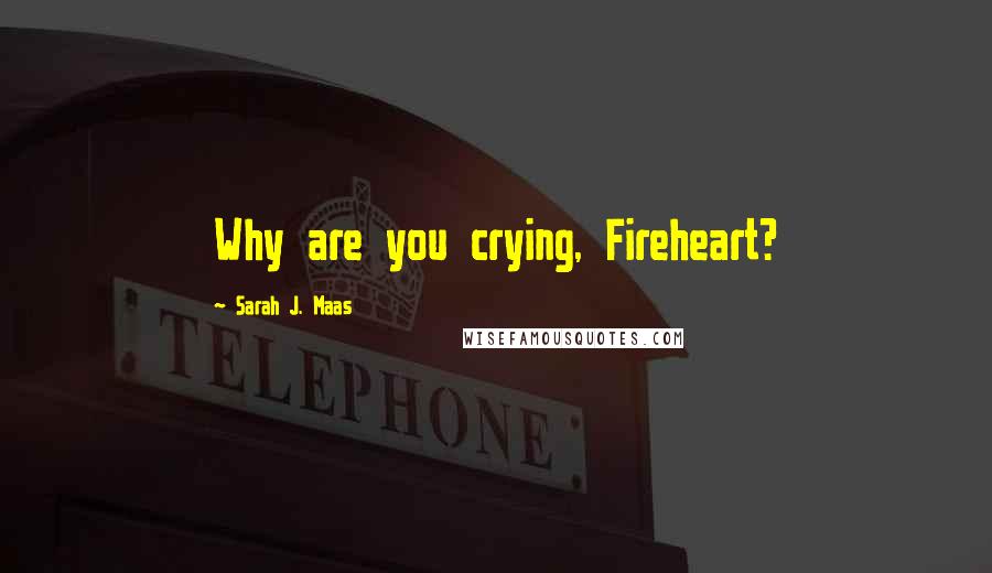 Sarah J. Maas Quotes: Why are you crying, Fireheart?