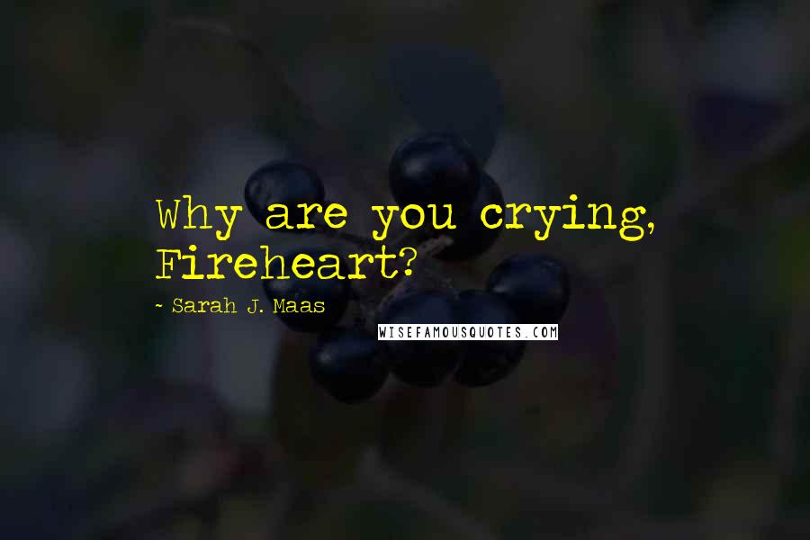 Sarah J. Maas Quotes: Why are you crying, Fireheart?