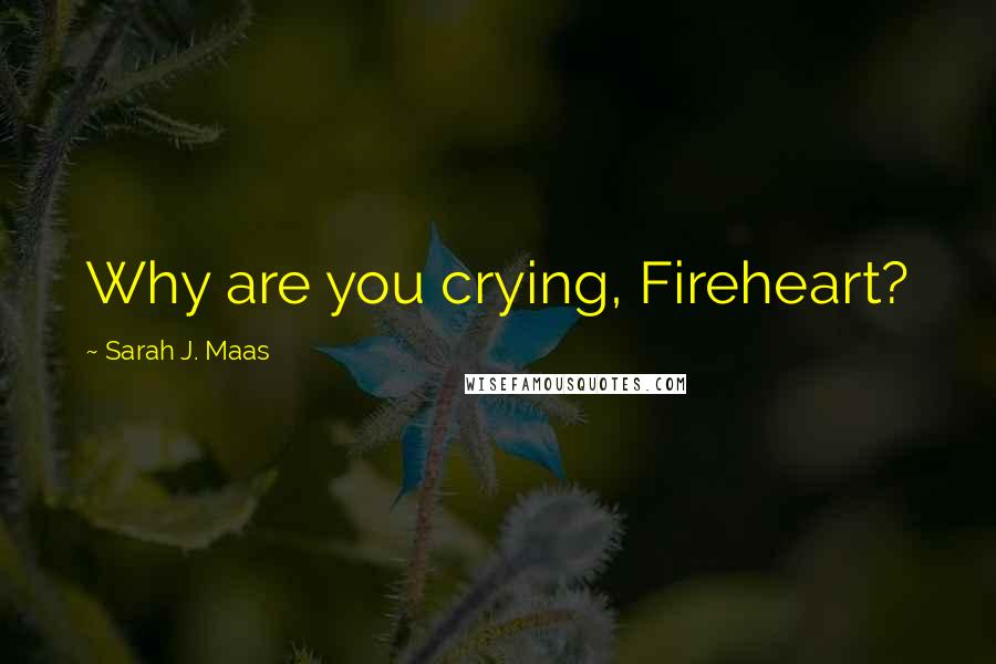 Sarah J. Maas Quotes: Why are you crying, Fireheart?