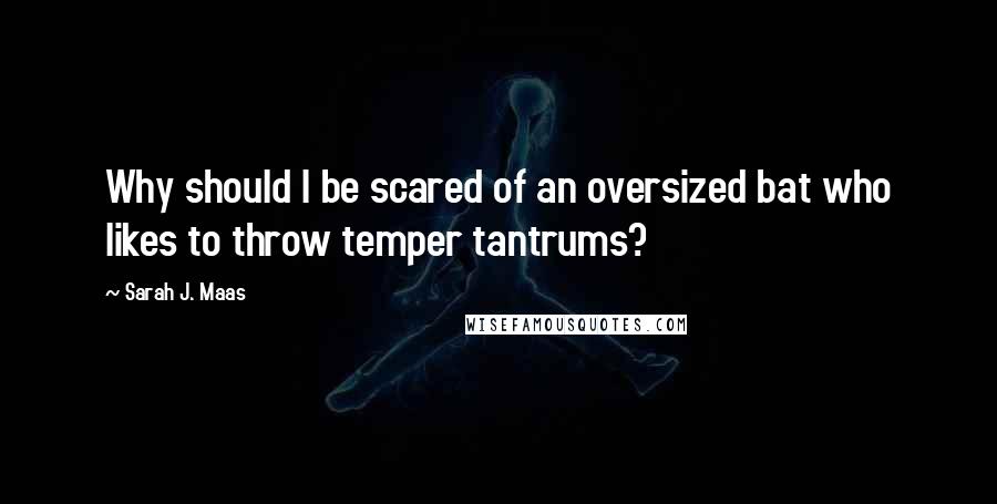 Sarah J. Maas Quotes: Why should I be scared of an oversized bat who likes to throw temper tantrums?