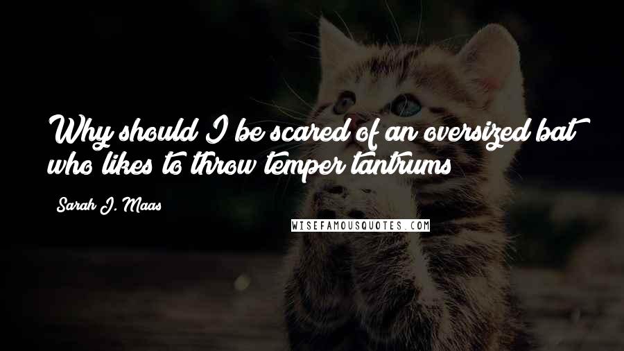 Sarah J. Maas Quotes: Why should I be scared of an oversized bat who likes to throw temper tantrums?