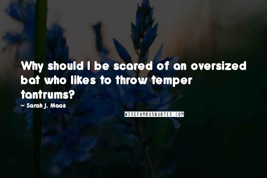 Sarah J. Maas Quotes: Why should I be scared of an oversized bat who likes to throw temper tantrums?