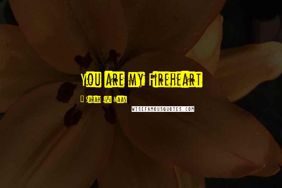 Sarah J. Maas Quotes: You are my Fireheart
