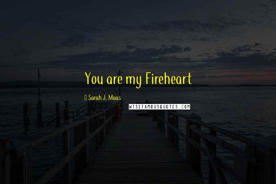 Sarah J. Maas Quotes: You are my Fireheart