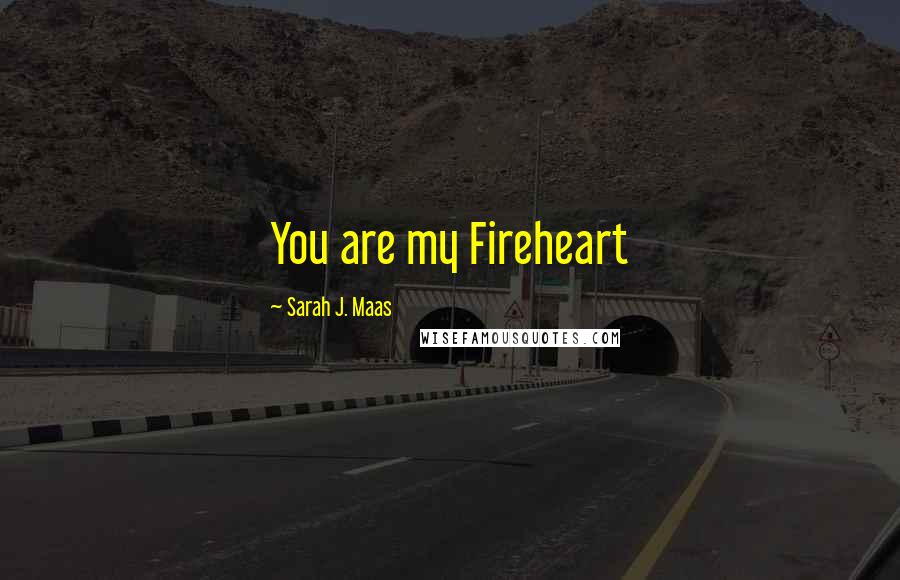 Sarah J. Maas Quotes: You are my Fireheart
