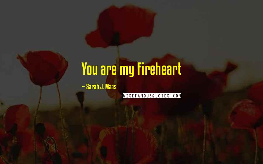 Sarah J. Maas Quotes: You are my Fireheart